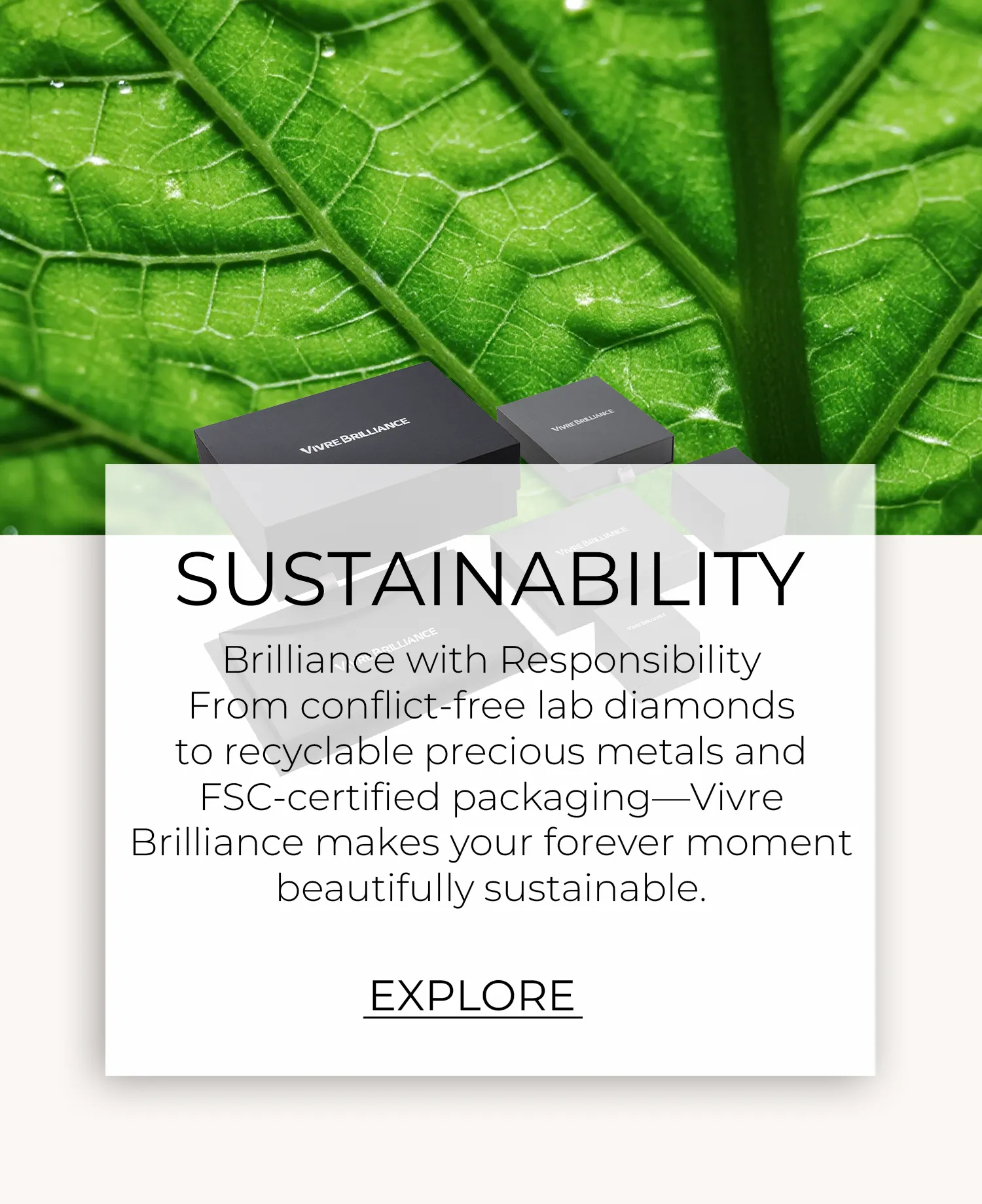 Home dm 20260226194451 077